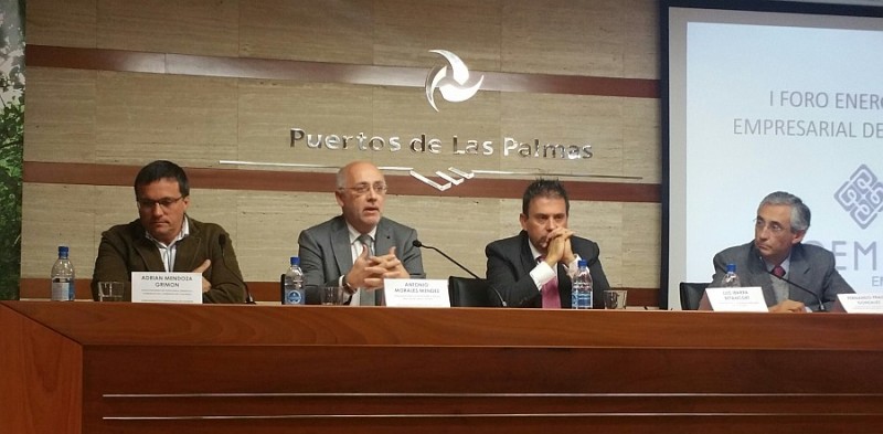 Morales asegura que la normativa estatal sobre renovables no contempla la realidad de Canarias