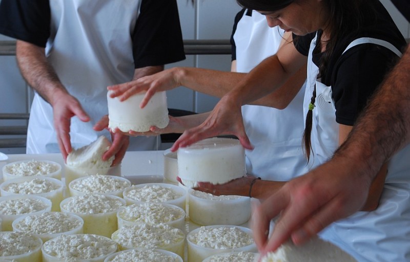 Ag�imes realizar� un curso de �Elaboraci�n de Queso y Productos L�cteos� 