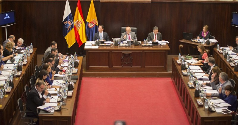 El Cabildo rechaza por unanimidad la instalaci�n de gasolineras fantasma