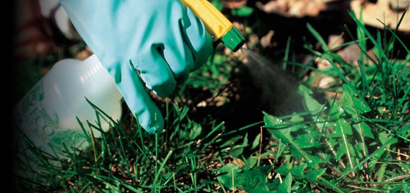 Ag�imes abre inscripci�n al curso �Manipulador productos fitosanitarios�