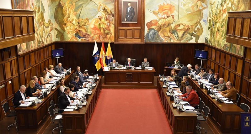 El Cabildo insta por unanimidad al Estado estar en la coordinaci�n aeroportuaria