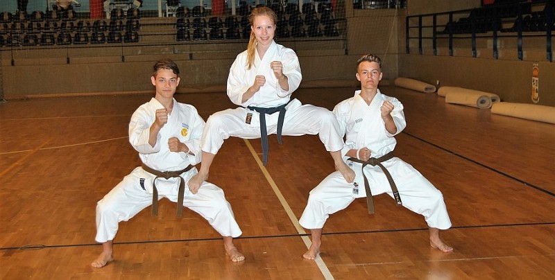 La Selecci�n Austriaca de k�rate se prepara en Maspalomas 