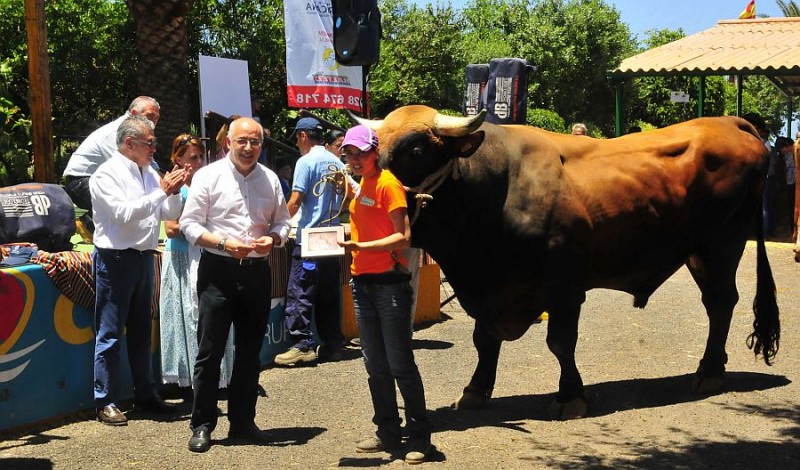 Gran Canaria exhibe su potencial ganadero ante 5.000 personas 
