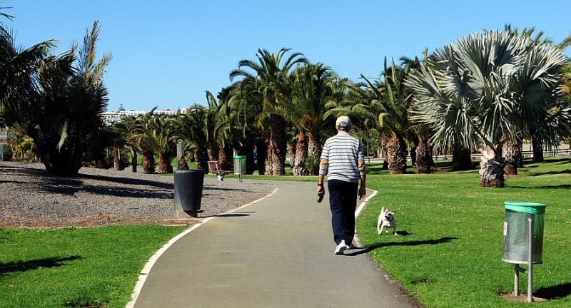 Maspalomas estudia  crear una playa canina