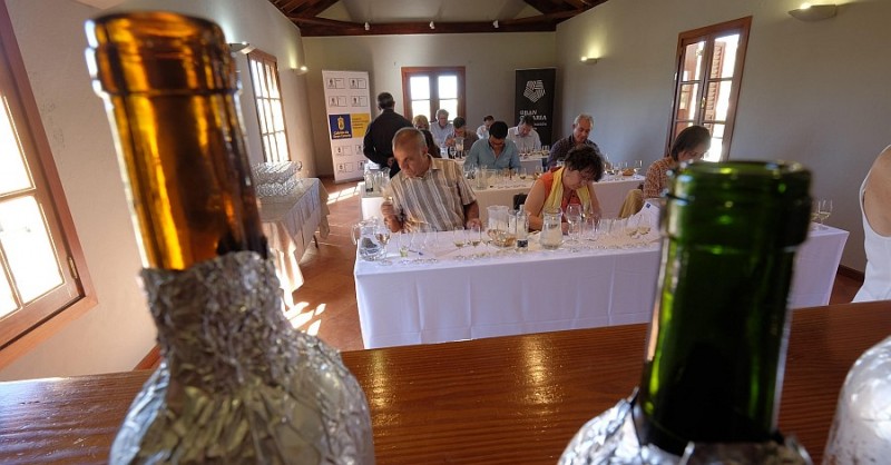 Gran Canaria elige sus mejores vinos 