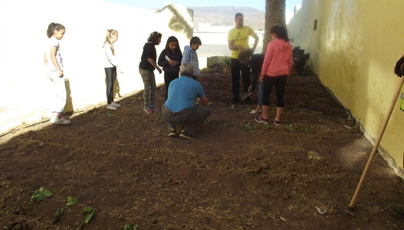 Santa Luc�a monta un huerto escolar para conmemorar el D�a del Medioambiente