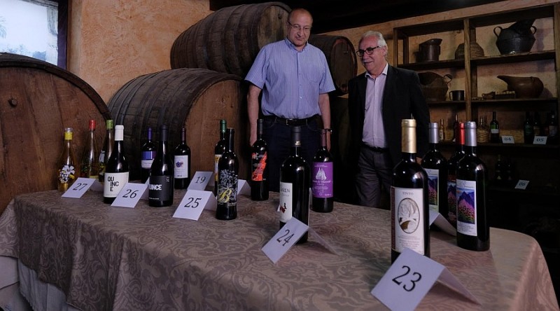 Tirajana, Tejeda y Ag�imes dan los mejores caldos en la Cata Insular