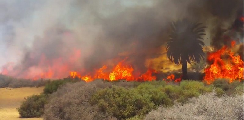 El fuego declarado en las Dunas de Maspalomas arrasa 1,2 hect�reas