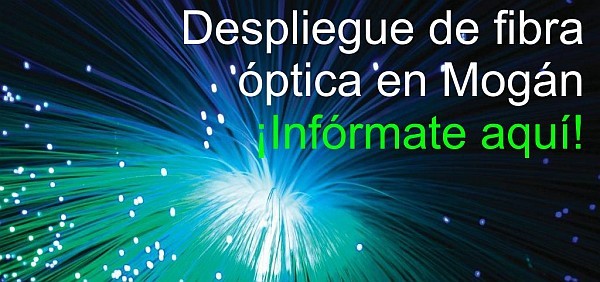 Mog�n habilita un enlace en la web para estudiar la demanda de fibra �ptica