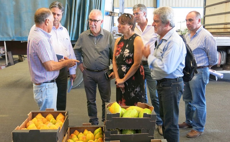 Santa Luc�a fomenta el consumo de productos agr�colas en el sector tur�stico 