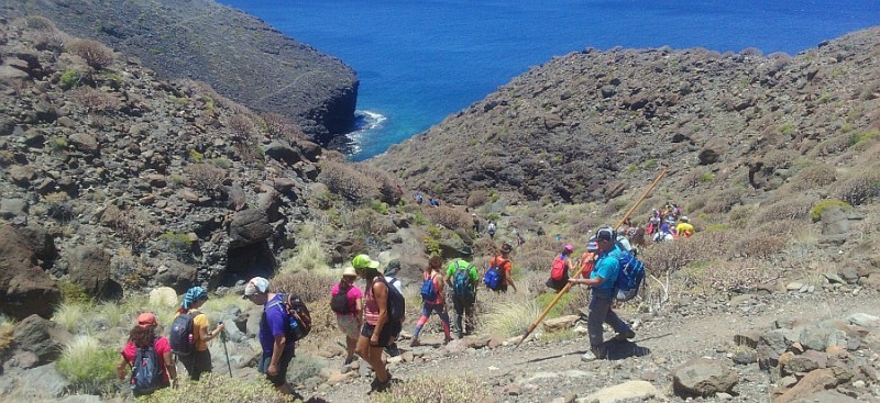�San Bartolom� Camina� finaliza en   La Aldea el calendario de senderismo 