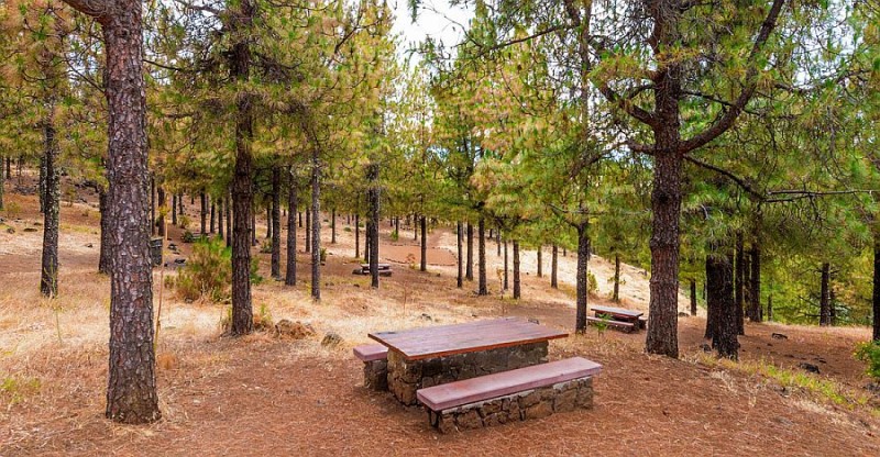 Prohibidas las hogueras en �reas forestales 