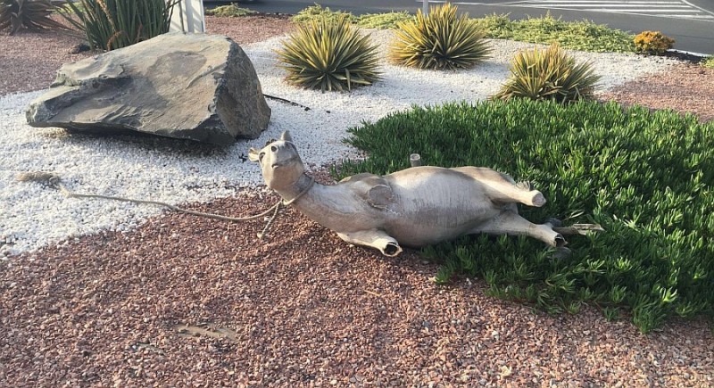 El burro de la rotonda de El Lomo  sufre un nuevo atentado vand�lico