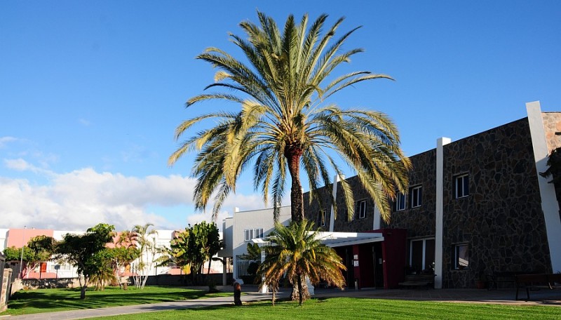 Tirajana acoger� pr�cticas sociosanitarias de Mog�n