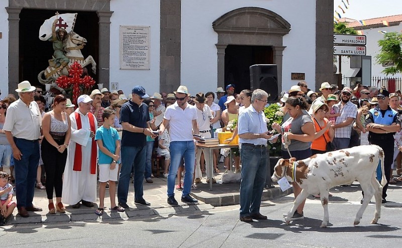 La Feria de Ganado de Tunte muestra su calidad y tradici�n 