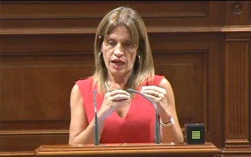 NC denuncia que el Gobierno �vende humo� en la mejora del comercio electr�nico  