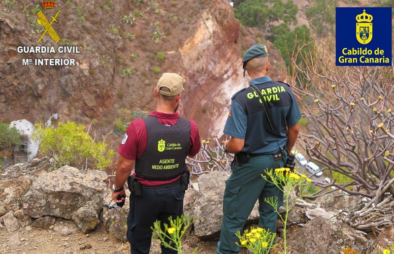 Guardia Civil y Cabildo detectan a 11 cazadores furtivos en una operaci�n conjunta