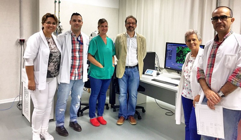 Investigan curar heridas con nanofibras de aloe vera y miel