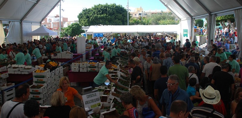 Mog�n dobla la producci�n en la segunda Feria del Aguacate 