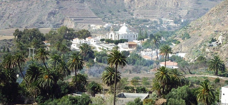 Santa Luc�a acoge este domingo la VIII Fiesta de la Aceituna