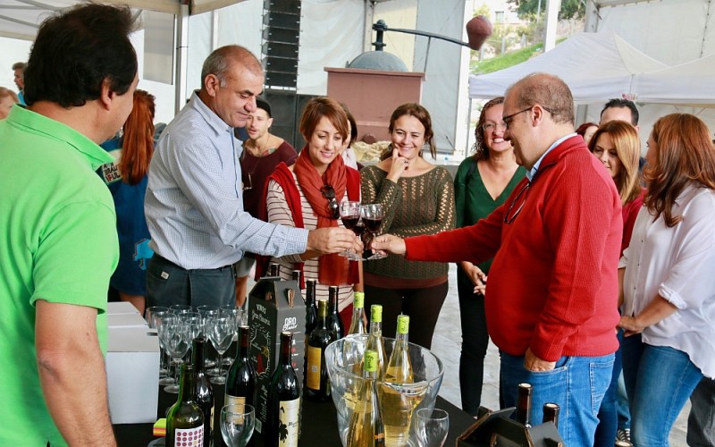 Mog�n celebra la I Feria �Sabor Canario� en Arguinegu�n 