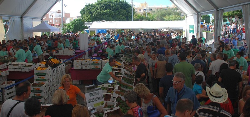 Mog�n cierra 2016 con un aumento en el impulso de la agricultura en el municipio