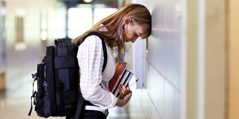 Mog�n patrocina el desarrollo de 50 menores en situaci�n de exclusi�n social 