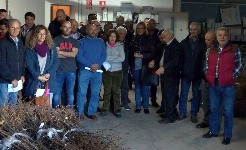 Agricultores de Tirajana adquieren 304 almendros 