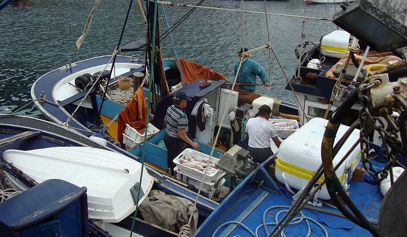 Ben Magec presenta alegaciones a favor de la pesca sostenible del at�n rojo