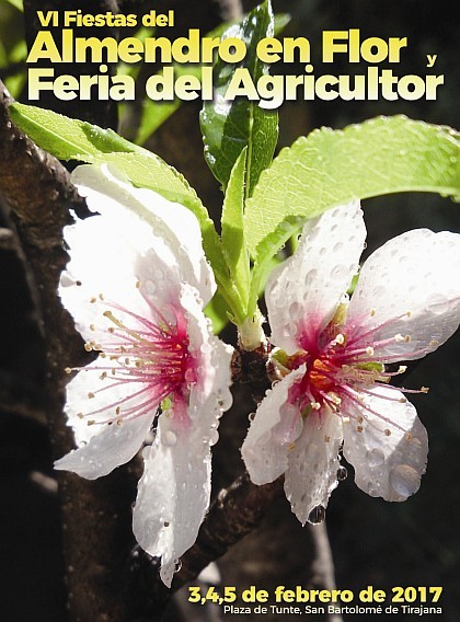 Tirajana celebra sus VI Fiestas del Almendro y la Feria del Agricultor