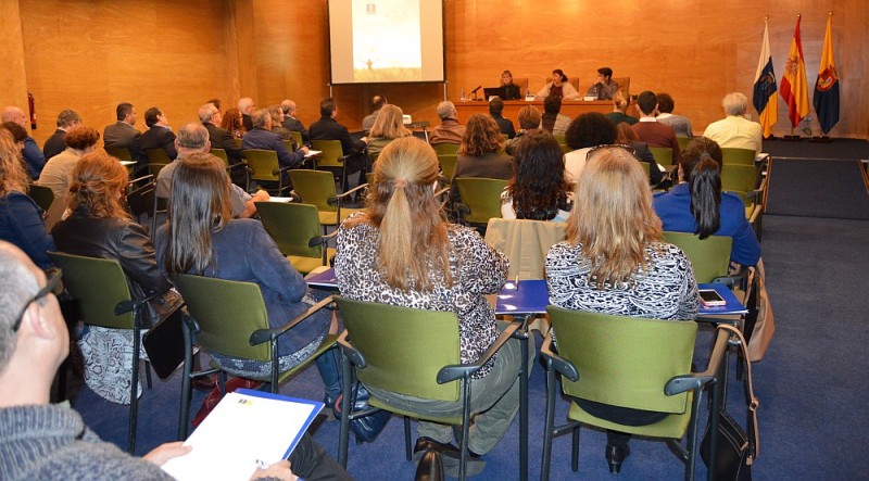 El Cabildo prev� un incremento del 60 % de �reas industriales 