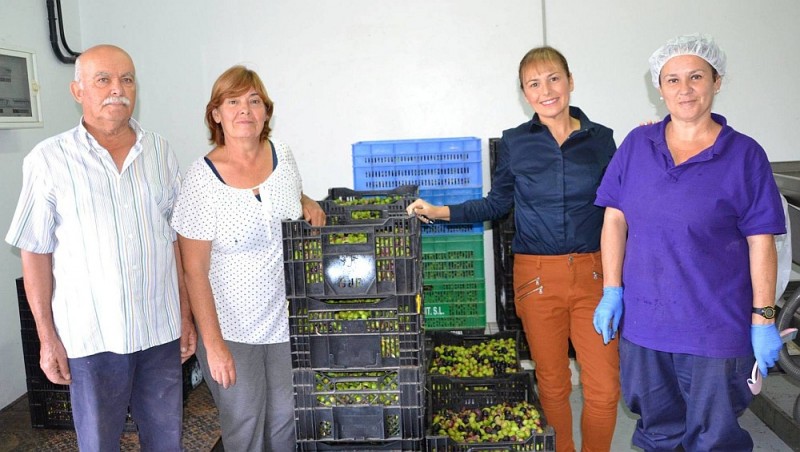 La Almazara municipal de Ag�imes inicia el reparto de aceite 