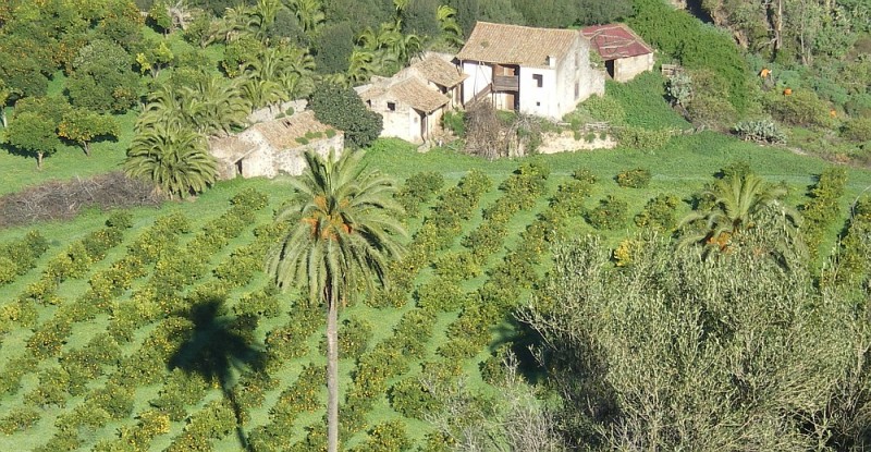 El plan agropecuario de Gran Canaria obtiene la aprobaci�n definitiva de la Cotmac