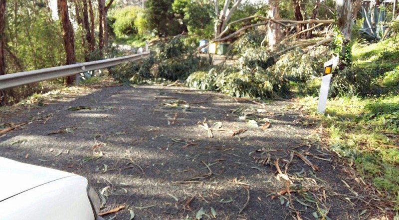 El temporal en Gran Canaria obliga a cierre de numerosas carreteras