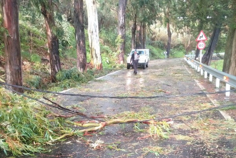 M�s de 500 personas han atendido las incidencias acaecidas en Gran Canaria