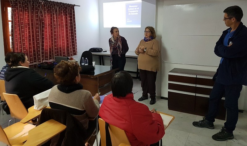 Tirajana ofrece un curso a 35 ganaderos sobre el transporte animal