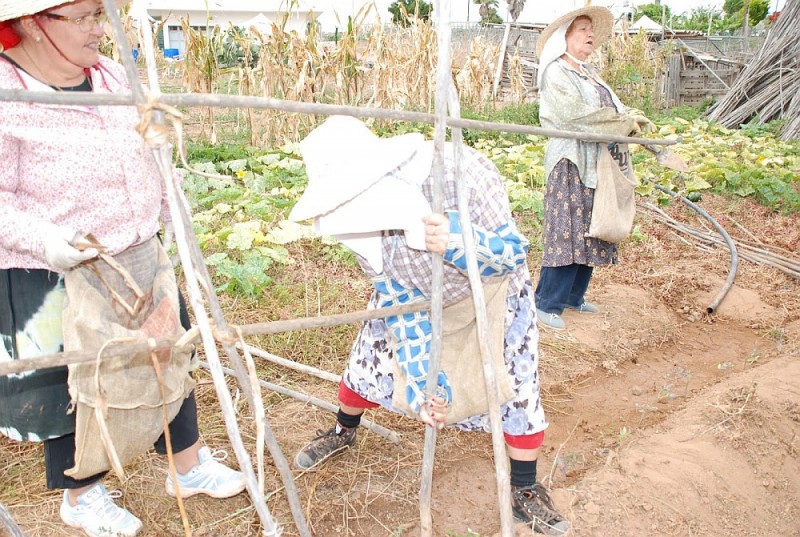 La Feria de la Zafra busca cartel para anunciar su 20� aniversario