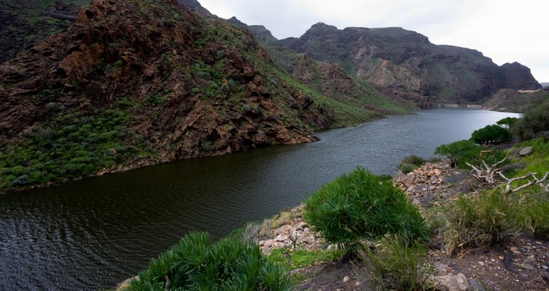 Las presas del Cabildo apenas recibieron 100.000 metros c�bicos de las lluvias 