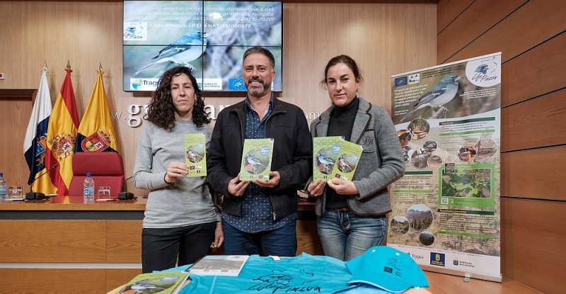 El Pinz�n Azul se recupera en la cumbre de Gran Canaria