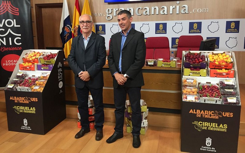 Gobierno y Cabildo promocionan el albaricoque y ciruela de Tirajana 