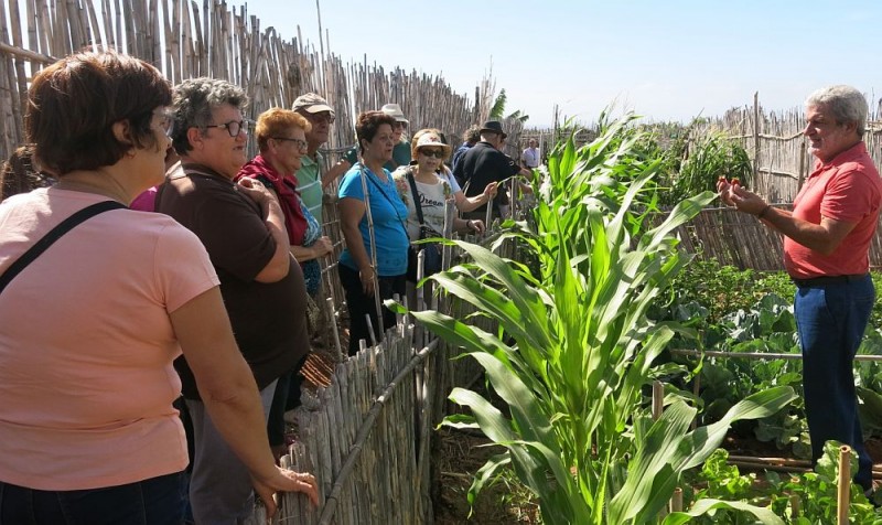 Mayores de Santa Luc�a conocen los huertos urbanos y las Salinas de Tenef� 