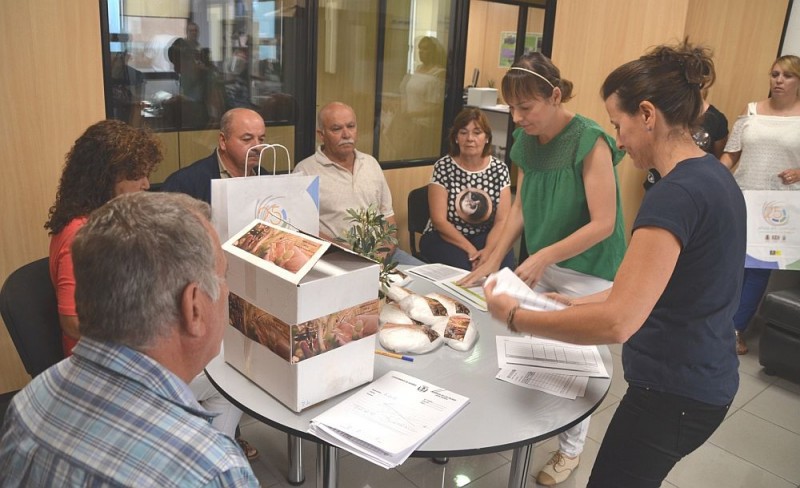 Ag�imes realiza una campa�a contra la mosca del olivo 