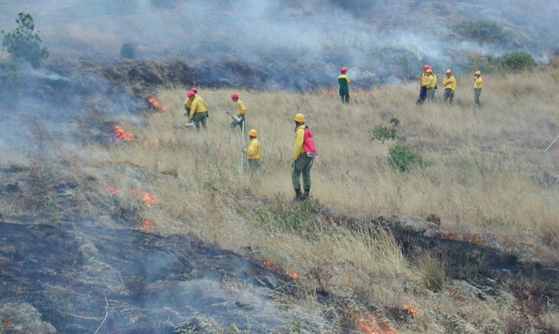 El Cabildo de Gran Canaria proh�be las hogueras