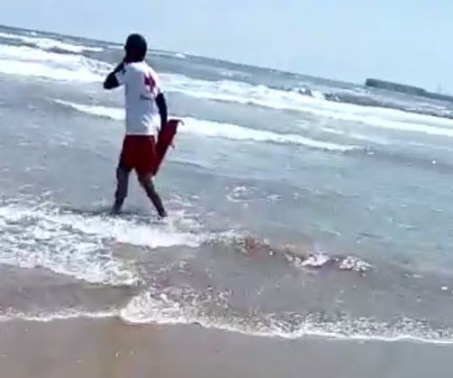 Ning�n tibur�n ha sido avistado en las playas de San Bartolom� de Tirajana 