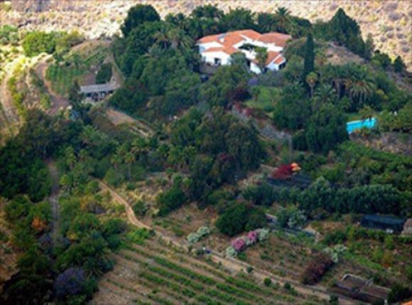 Gran Canaria comienza la vendimia de con 2.000 kilos en las primeras horas