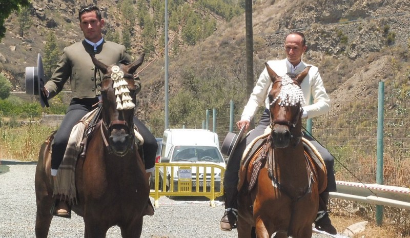 Belleza y precisi�n a caballo en las exhibiciones de volteo, doma y alta escuela 