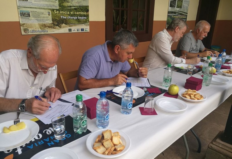 El Cabildo define en Teror las nueve mejores variedades de Papas