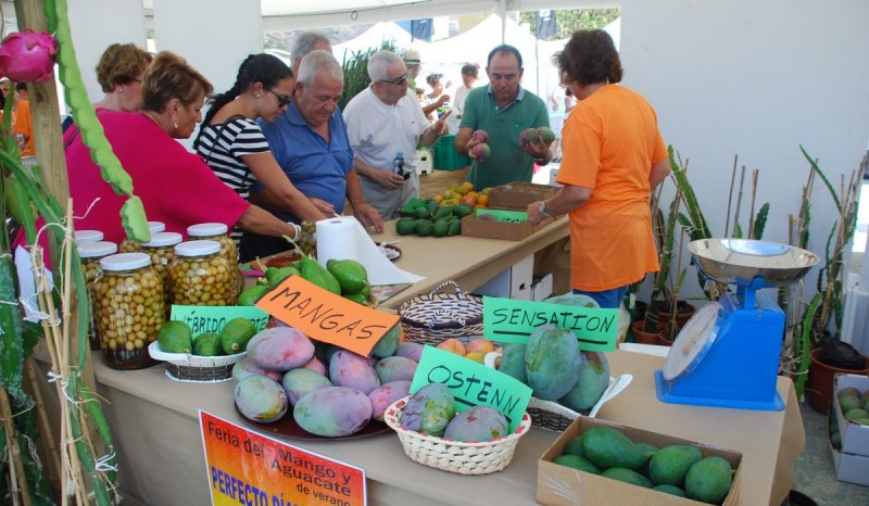 Mog�n abre el plazo para participar en la II Feria del Mango y Aguacate de Verano