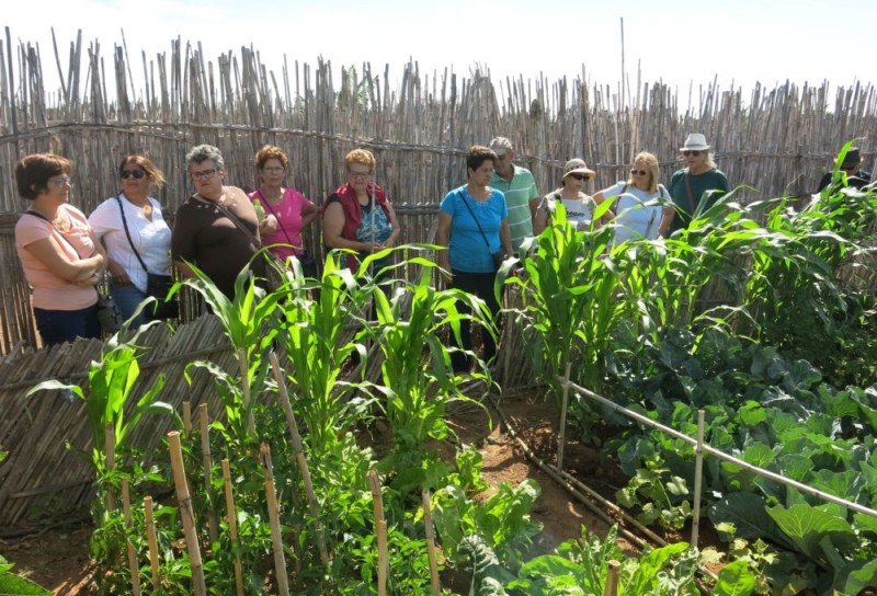 Santa Luc�a contin�a con la formaci�n del sector primario 