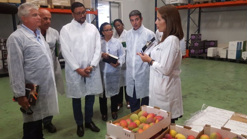 Cabo Verde se interesa por las f�rmulas de comercializaci�n de productos locales canarios